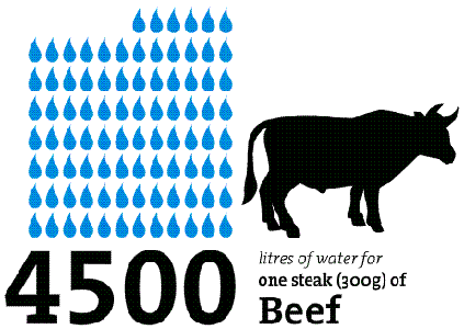 Water-Beef.GIF